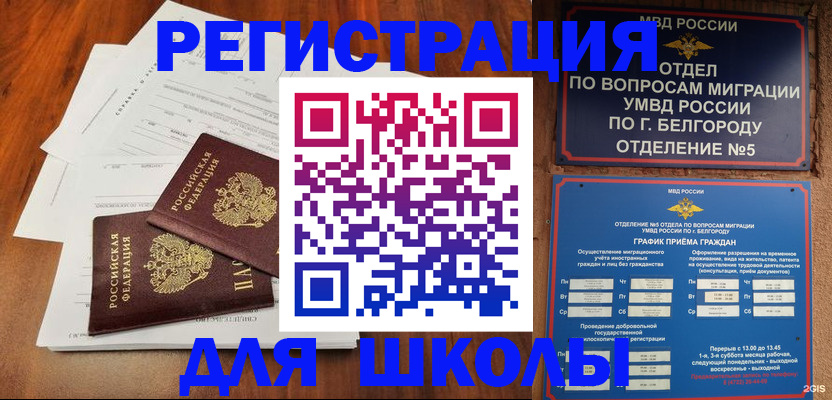 прописка поиск в Котово